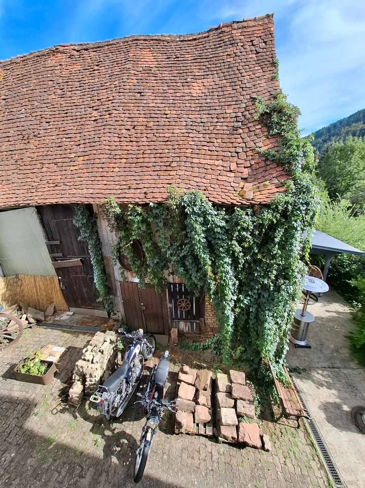 Bedenkliches Dach mit Hopfen